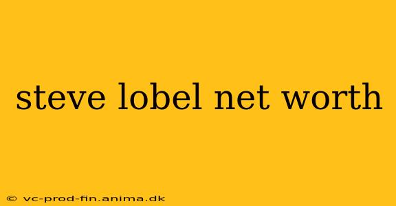 steve lobel net worth