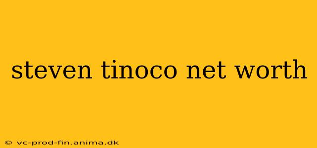 steven tinoco net worth