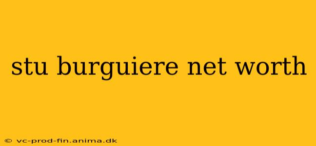 stu burguiere net worth
