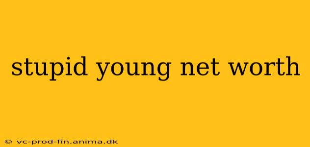 stupid young net worth