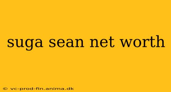 suga sean net worth