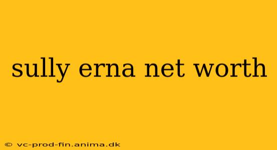 sully erna net worth