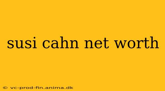 susi cahn net worth