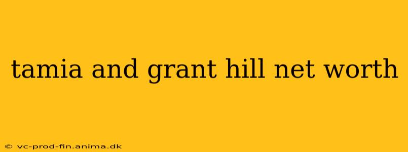 tamia and grant hill net worth