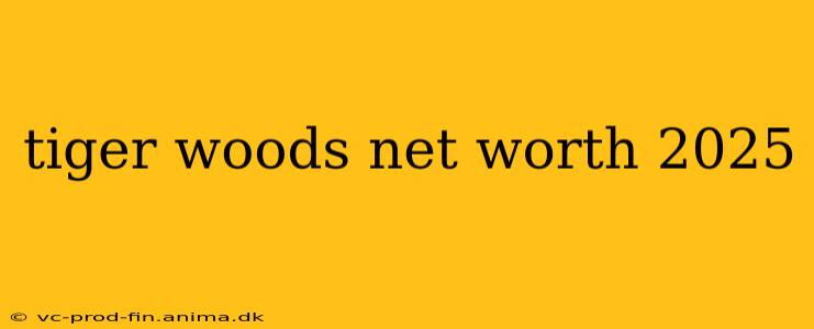 tiger woods net worth 2025
