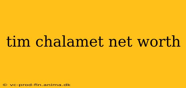 tim chalamet net worth