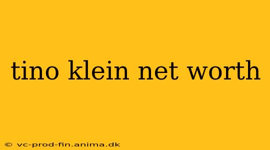 tino klein net worth