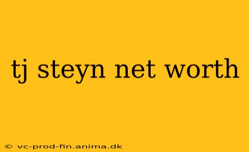 tj steyn net worth