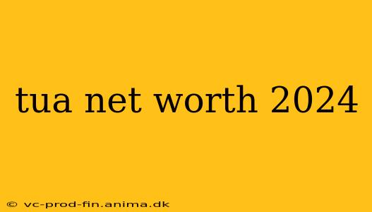 tua net worth 2024