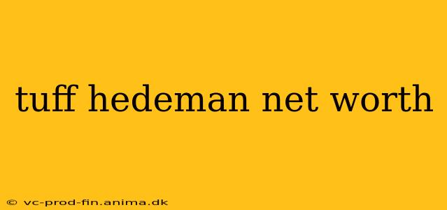 tuff hedeman net worth