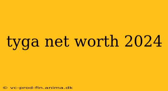 tyga net worth 2024