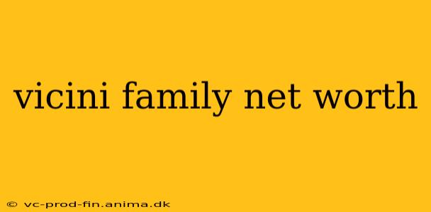 vicini family net worth