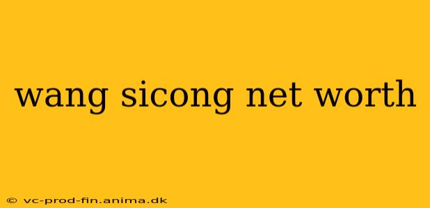 wang sicong net worth
