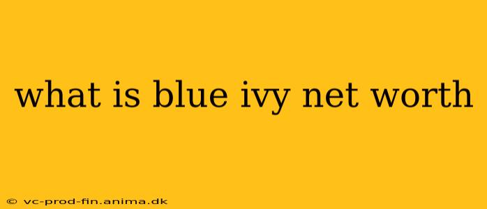 what is blue ivy net worth