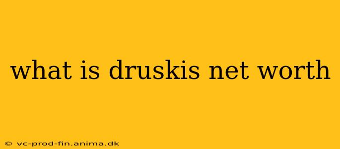 what is druskis net worth