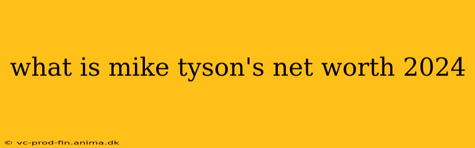 what is mike tyson's net worth 2024