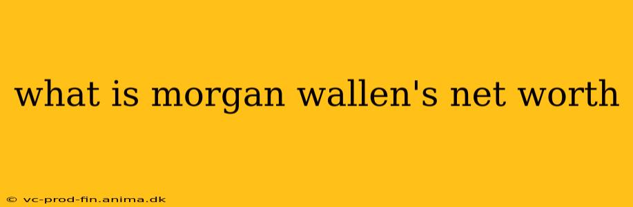 what is morgan wallen's net worth