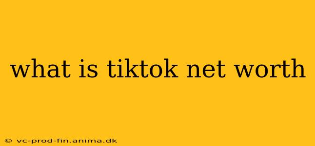 what is tiktok net worth