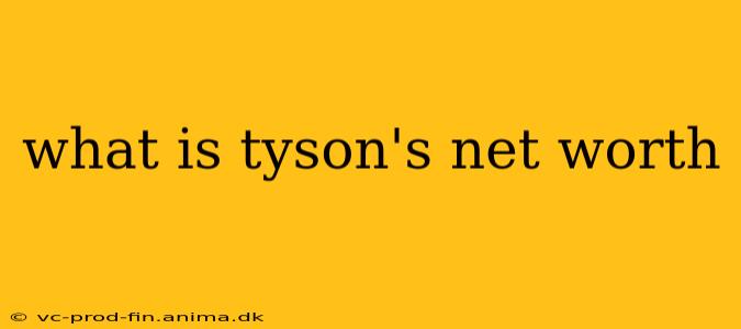 what is tyson's net worth