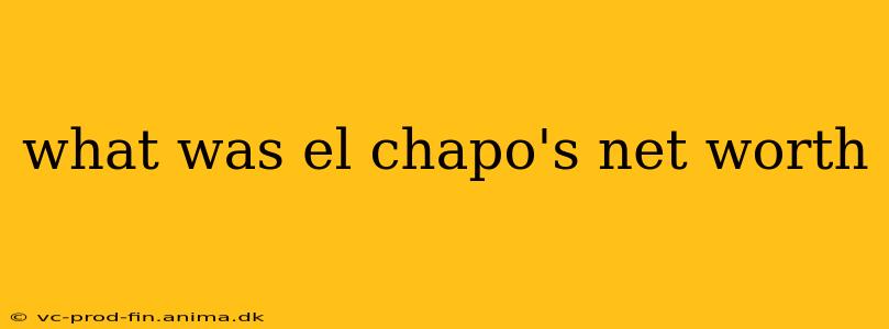 what was el chapo's net worth
