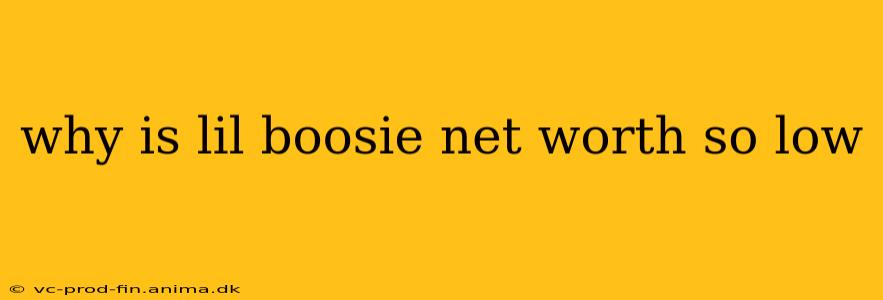why is lil boosie net worth so low