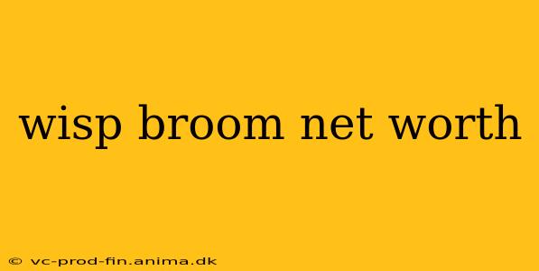 wisp broom net worth