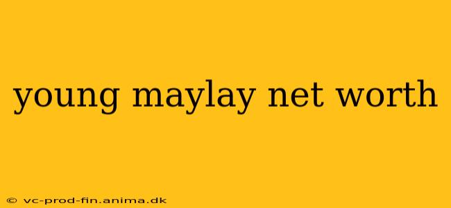 young maylay net worth