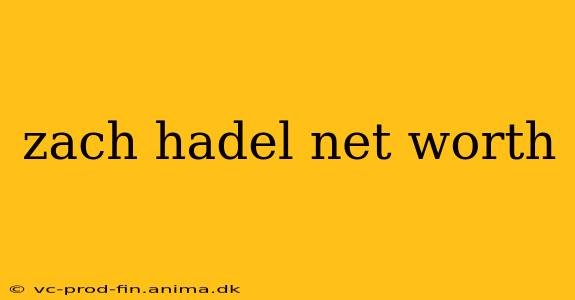 zach hadel net worth