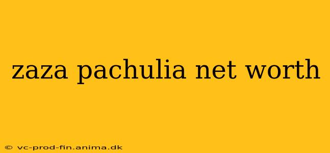 zaza pachulia net worth